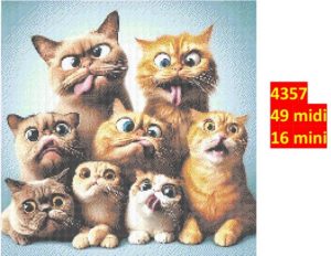 Kat 4357