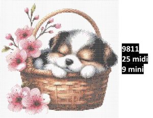 Hund 9811